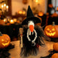 Halloween Porch Goose Witch Costume Set